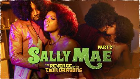 Ana Foxxx - Sally Mae: The Revenge of the Twin Dragons: Part 2 (2022/HD/720p) 