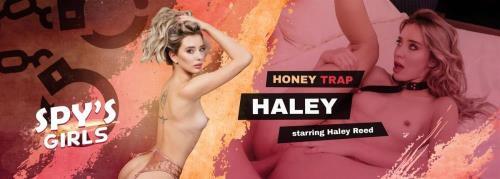 Haley Reed - Honey Trap Haley (05.04.2024/VRSpy.com/3D/VR/UltraHD 2K/1920p) 