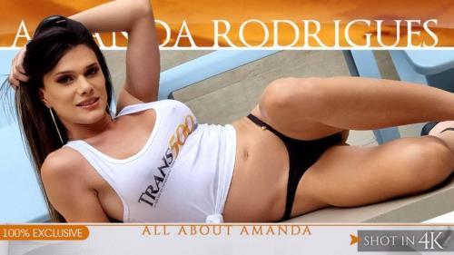 Amanda Rodrigues - All About Amanda - tap379 (12.08.2022/TransAtPlay.com, Trans500.com/Transsexual/FullHD/1080p) 