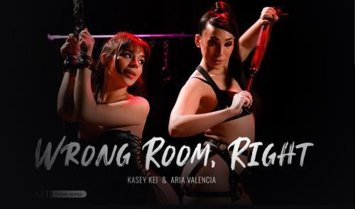 Aria Valencia, Kasey Kei - Wrong Room, Right (24.03.2023/Transfixed.com, AdultTime.com/Transsexual/FullHD/1080p) 