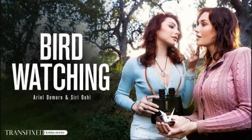 Siri Dahl, Ariel Demure - Bird Watching (19.07.2023/Transfixed.com, AdultTime.com/Transsexual/SD/544p) 