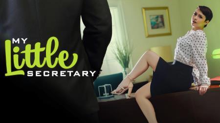 Jade Valentine - My Small Secretary (2024/FullHD/1080p) 